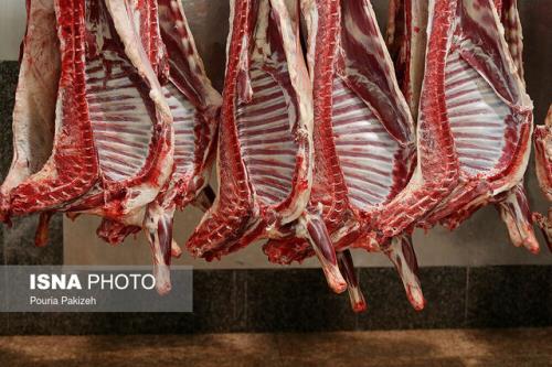 سینگال مثبت واردات گوشت گرم برای تنظیم بازار در دولت شهید رئیسی
